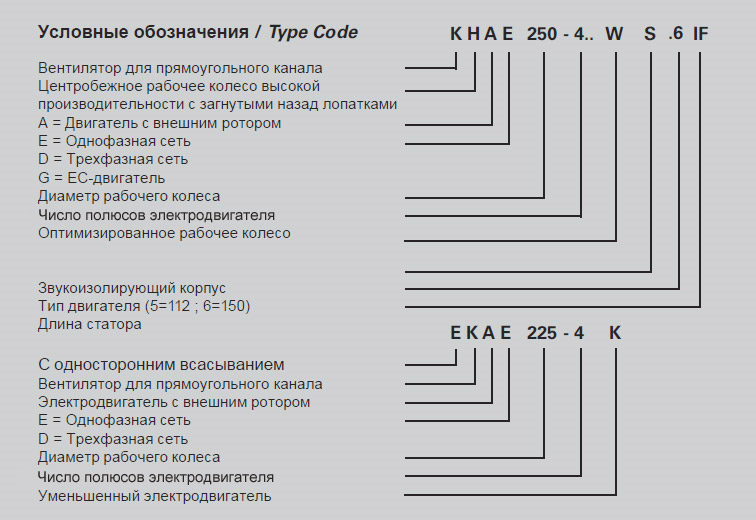 TypeCode-b